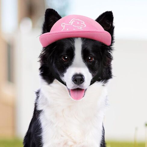 Debei Dog Hat Baseball Sun Trucker قبعة الحيوانات الأليفة للكلاب والقطط (كبيرة) قبعات الحيوانات الأليفة ذات فتحات أذن برباط قابلة للتعديل مع حماية من الأشعة فوق البنفسجية تناسب الكلاب الصغيرة والمتوسطة والكبيرة (أسود) in Kuwait