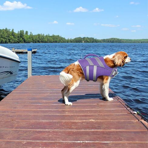 Kuoser Reflective Dog Life Jacket, Dog Life Vest for Swimming Boating in Kuwait