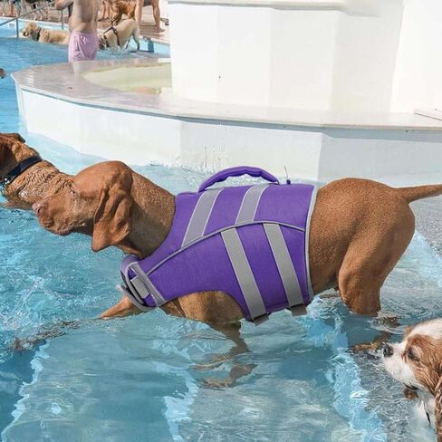 Kuoser Reflective Dog Life Jacket, Dog Life Vest for Swimming Boating in Kuwait