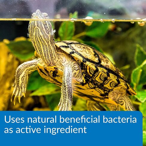 API Turtle Products: Sludge Remover to Clean Aquarium, Water Conditioner to Make Tap Water Safe for Turtles, TURTLEFIX Reme - 2 Pack in Saudi Arabia