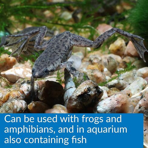 API Turtle Products: Sludge Remover to Clean Aquarium, Water Conditioner to Make Tap Water Safe for Turtles, TURTLEFIX Reme - 2 Pack in Saudi Arabia