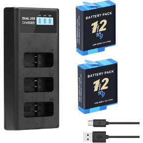 2 Pack 2000mAh High Capacity Replacement Battery with 3 Independent Channel LCD Charger for GoPro Enduro Hero 12/11/10/9 Black