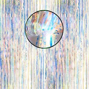 2 Pcs Iridescent Transparent Foil Curtain Tinsel Backdrop Beautiful Neon Clear Streamers Backdrops-Rainbow Photoshoot Streamers Perfect for Party Decorations(3.2 ft x 6.5 ft)
