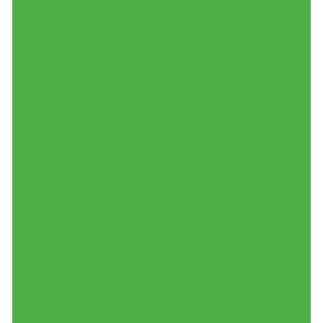 Savage Seamless Paper Photography Backdrop - Color #46 Tech Green, Size 26 Inches Wide x 36 Feet Long, Backdrop for Tabletop Product Photography and Crafting - Made in USA