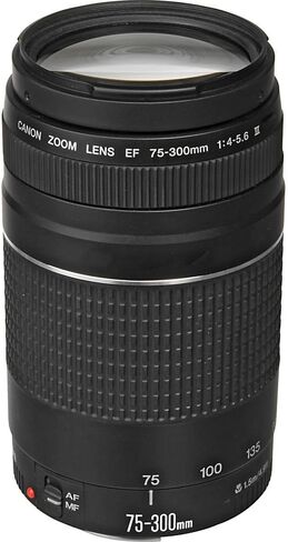 كاميرا Canon EOS 250D (Rebel SL3) DSLR مع عدسات Canon مقاس 18-55 مم و75-300 مم وحزمة الملحقات الأساسية - تتضمن: بطاقة ذاكرة SanDisk Ultra SDXC سعة 64 جيجابايت وبطارية احتياطية والمزيد (متجددة) in Saudi Arabia