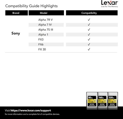 Lexar 80GB Professional CFexpress Type A Gold Series Memory Card, Up to 900MB/s Read, Cinema-Quality 8K Video, Rated VPG 400 (LCAGOLD080G-RNENG) in Saudi Arabia