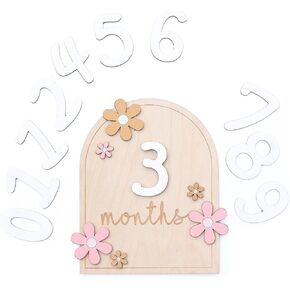 Baby Monthly Milestone Cards, Wooden Monthly Milestone Discs Photo Prop Baby Announcement Sign Newborn Photography Props Sign to Document Your Baby´s Growth