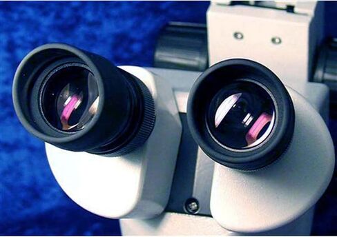 AmScope SM-3B-FRL Professional Binocular Stereo Zoom Microscope, WH10x Eyepieces, 7X-45X Magnification, 0.7X-4.5X Zoom Objective, 8W Fluorescent Ring Light, Single-Arm Boom Stand, 110V-120V in Saudi Arabia