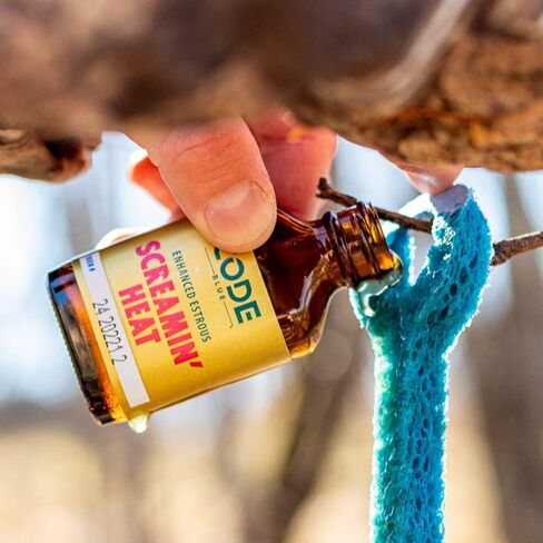 Code Blue Screamin' Heat, Choose Size in Kuwait