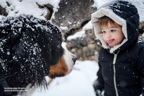 Lensbaby Composer Pro II مع حافة 35 بصرية in Kuwait