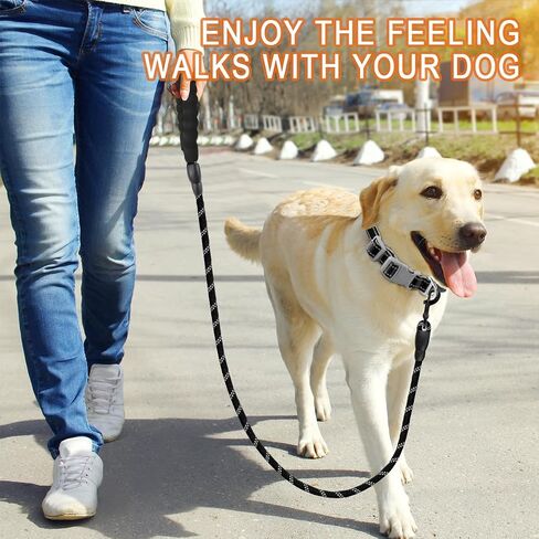 BARKBAY Dog Leash for Medium Large Dogs, Heavy Duty,Padded Handle Lead-5FT in Kuwait