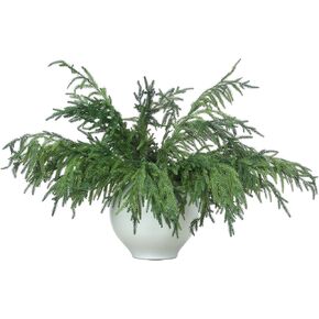 Jutom 30 Pcs Christmas Norfolk Pine Branches, 18 Inch Norfolk Pine Artificial Christmas Branches DIY Crafts Faux Christmas Norfolk Pine Branches for Xmas Indoor Outdoor Home Decor in Kuwait