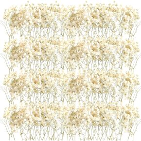 300 Pcs Mini Dried Baby Breath Flowers Gypsophila Ivory Natural Flowers Dried Flowers for Vase Wedding Home Office Party Garden Card Making Decor Wreath Floral Craft DIY Art 2-4 Inches