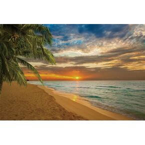 خلفية الشاطئ الاستوائية 10x8ft الصيف شاطئ شروق الشمس غروب الشمس خلفية شاطئ البحر شجرة جوز الهند التصوير خلفية الصيف موضوع الطرف الديكور صورة التصوير الدعائم راية in Kuwait