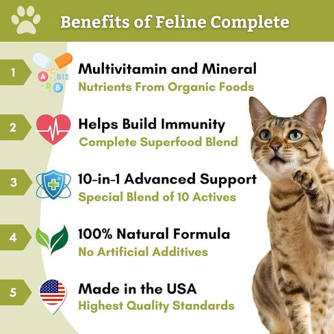 Wholistic Pet Organics Feline Complete: مسحوق الفيتامينات المتعددة للقطط - 8 أونصة - مكملات دعم المناعة للقطط - مضادات الأكسدة - نكهة اليقطين العضوية (اليقطين العضوي، 8 أونصة) in Kuwait