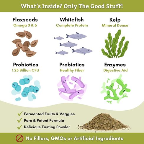 Wholistic Pet Organics Feline Complete: مسحوق الفيتامينات المتعددة للقطط - 8 أونصة - مكملات دعم المناعة للقطط - مضادات الأكسدة - نكهة اليقطين العضوية (اليقطين العضوي، 8 أونصة) in Kuwait