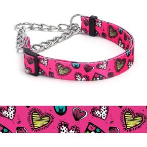 Serijoars Martingale Collar for Dogs, Heavy Duty Floral Pattern, Female Safety Nylon Training Dog Collar with Flowers Design - Large Medium Small Dogs (M, Fireworks)