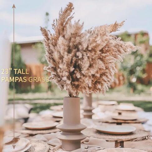 SREED 20 Pcs 23 Inch Tall Fluffy Pampas Grass XL Size White Dry Pompous Grass Decor Wedding Flower Boho Decor Natural Pompas Flower Bouquet(White, 23 inch) in Kuwait
