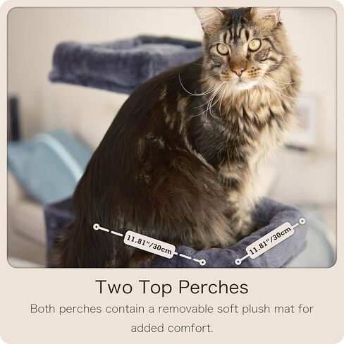 Ouritsu Cat Tree, 56.57" Tall Cat Tower, Two Padded Perches, Large Condo with Window for Large Cat Indoor, Kitten, Steel Framed Hammock, Scratching Post and ramp, Fluffy Basket, Dark Gray, LF001DG in Saudi Arabia