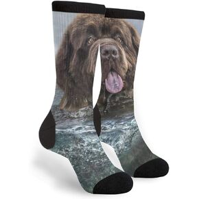 Newfoundland Underwater Dogs Funny Animals Unisex Adult Fun Cool 3D Print Colorful Athletic Sport Novelty Crew Tube Socks