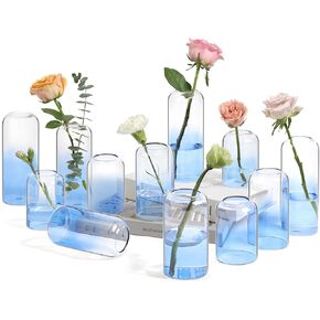 ComSaf Small Flower Vase Set of 6, Glass Bud Vases in Bulk, Clear Vases for Flower, Decor Centerpiece for Office, Decorative Vases for Modern Style, Valentines' Day, Mother's Day, Thanksgiving Day