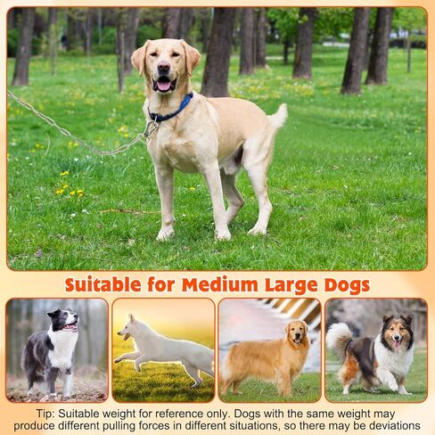 سلاسل الكلاب شديدة التحمل بطول 15 قدم من لونيبيتو، كابل ربط للكلاب من الفولاذ المقاوم للصدأ للخارج مع خطاف دوار، مقود طويل للكلاب متوسط ​​الحجم ومقاوم للمضغ للتنزه في الفناء والتخييم والمشي لمسافات طويلة، 4 مم in Kuwait