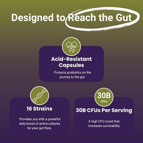 NutriZing البروبيوتيك النباتي لصحة الجهاز الهضمي - 30 مليار CFU و16 سلالة - Bifidobacterium & Lactobacillus Probiotics للرجال والنساء - مكمل غذائي بروبيوتيك متأخر الإطلاق لصحة الأمعاء in Kuwait