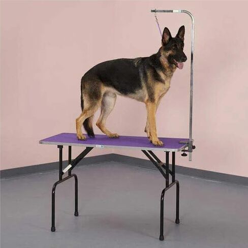 Pet Any Way LLC Master Equipment Grooming Table in Kuwait