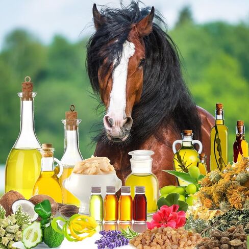 The Blissful Horses Simply Clean Sheath Butter All Natural Cleansing for Your Horse in Kuwait