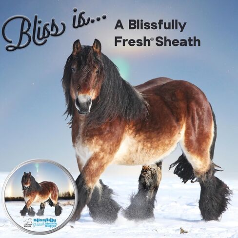 The Blissful Horses Simply Clean Sheath Butter All Natural Cleansing for Your Horse in Kuwait