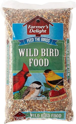 Droll Yankees 5-lb Squirrel-Proof Bird Feeder Bundle with 1-lb Classic Seed Feeder, 6 Feeding Stations in Saudi Arabia