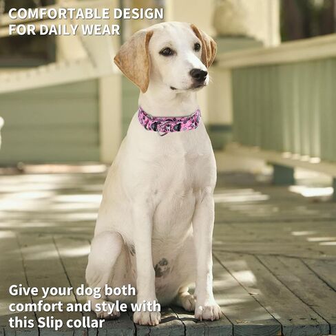 Martingale Dog Collars -Adjustable Soft Dog Collar.Colorful Flower Multicolor Cute Patterns for Puppies for Medium Large Dogs Walking Running Training (XL: for 53-62cm Neck, Butterfly) in Kuwait