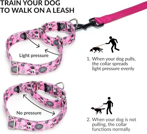 Martingale Dog Collars -Adjustable Soft Dog Collar.Colorful Flower Multicolor Cute Patterns for Puppies for Medium Large Dogs Walking Running Training (XL: for 53-62cm Neck, Butterfly) in Kuwait