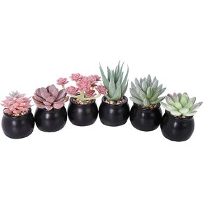 Nubry Mini Fake Plants in Terrine Pots Artificial Small Succulents Potted Faux Assorted Lifelike Plants for Home Office Desk Decor, Set of 6 (Orange Terracotta Pots)