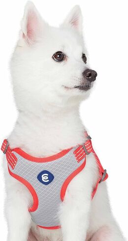 Blueberry Pet Essentials العودة إلى الأساسيات سترة عاكسة لحزام الكلاب، مشمش، متوسطة، أحزمة قابلة للتعديل للكلاب in Kuwait