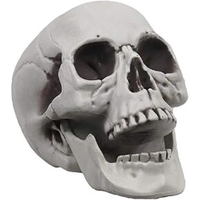 Life Size Skeleton Skull Model Human Skull Replica Model Skull Head Decoration Prop for Bar Party Home Halloween Decor