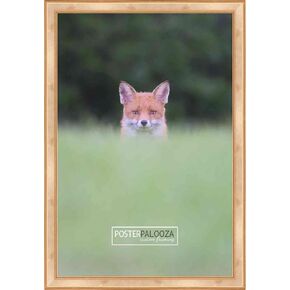 Poster Palooza 15x22 Traditional Antique Gold Solid Wood Picture Frame with UV Acrylic Plexiglass, Foam Board Backing and Hardware Included