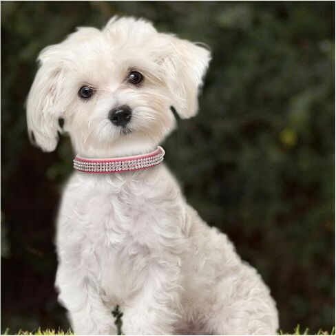 Dog Collar,Cat Collar,Sparkling Rhinestones Dog Collars Adjustable Pet Collars for Puppy Kitten Small Medium Dogs&Cats (S, Gold) in Saudi Arabia
