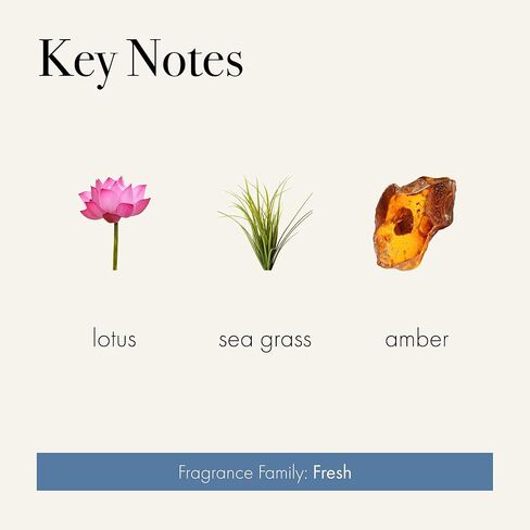 شمعة LAFCO New York المميزة، Feu de Bois - 15.5 أونصة - وقت حرق 90 ساعة - وعاء زجاجي منفوخ يدويًا قابل لإعادة الاستخدام - صنع في الولايات المتحدة الأمريكية in Kuwait