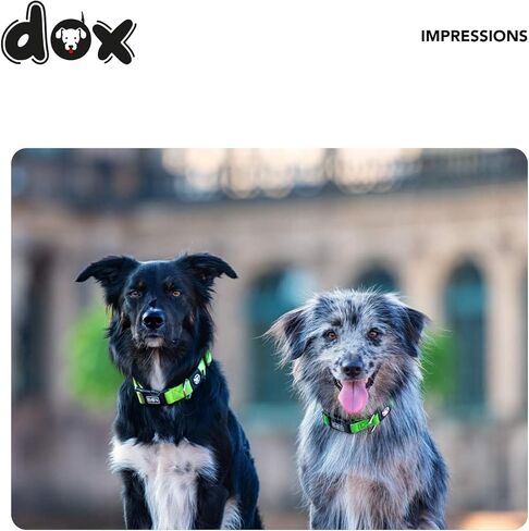 طوق DDOXX Airmesh للكلاب - أطواق قوية وقابلة للتعديل للكلاب - مقاس L (أحمر) in Kuwait