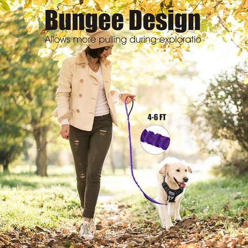 BUMBIN 6Ft Dog Leash Large Dogs, Bungee Dog Leash with 2 Handles, Heavy Duty Dog Leashes for Medium Small Dogs, No Pull Shock Absorbing Dog Leash with Car Seat Belt for Training, Brown in Kuwait