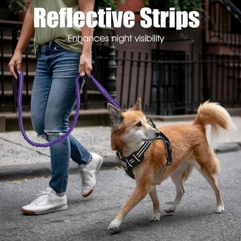 BUMBIN 6Ft Dog Leash Large Dogs, Bungee Dog Leash with 2 Handles, Heavy Duty Dog Leashes for Medium Small Dogs, No Pull Shock Absorbing Dog Leash with Car Seat Belt for Training, Brown in Kuwait