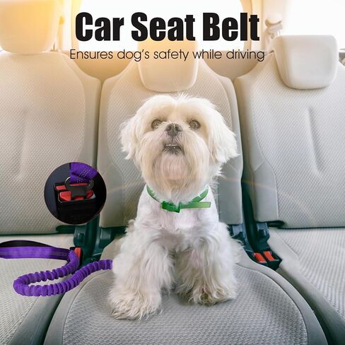 BUMBIN 6Ft Dog Leash Large Dogs, Bungee Dog Leash with 2 Handles, Heavy Duty Dog Leashes for Medium Small Dogs, No Pull Shock Absorbing Dog Leash with Car Seat Belt for Training, Brown in Kuwait