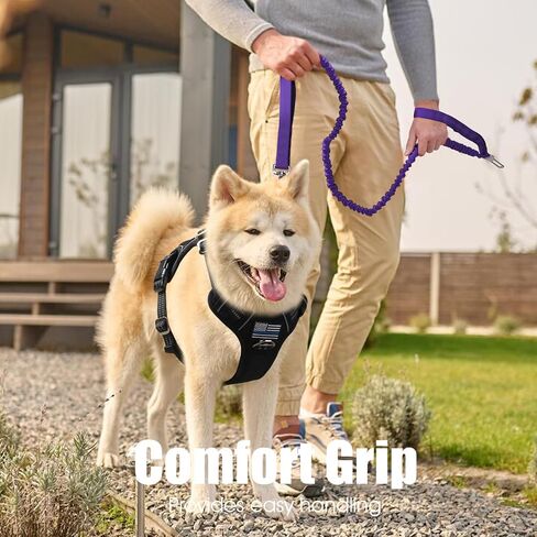 BUMBIN 6Ft Dog Leash Large Dogs, Bungee Dog Leash with 2 Handles, Heavy Duty Dog Leashes for Medium Small Dogs, No Pull Shock Absorbing Dog Leash with Car Seat Belt for Training, Brown in Kuwait