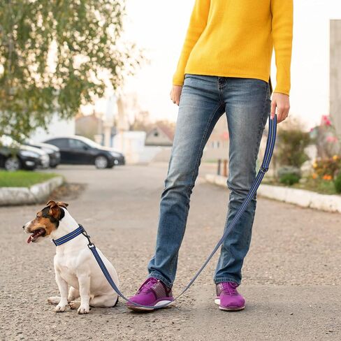 Mile High Life | Reflective Dog Collar Leash Set | Small Dog Collar Leash Set | Medium Dog Collar Leash Set | Adjustable Collar Leash Set (Reflective Solid Limegreen, Medium (Pack of 2)) in Kuwait