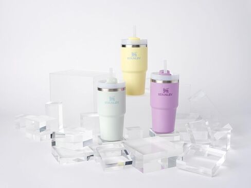 Stanley Quencher H2.0 FlowState Stainless Steel Vacuum Insulated Tumbler with Lid and Straw for Water, Iced Tea or Coffee in Saudi Arabia