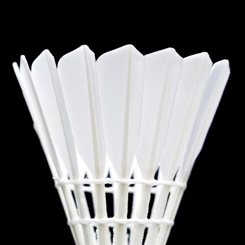 INFINITE Badminton Shuttlecocks, Golden D with Super Durability, Goose Feather, Suitable for Intermediate Level Players and Club Session, 12PCS per Tube… in Saudi Arabia