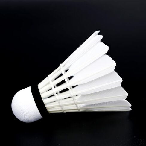 INFINITE Badminton Shuttlecocks, Golden D with Super Durability, Goose Feather, Suitable for Intermediate Level Players and Club Session, 12PCS per Tube… in Saudi Arabia