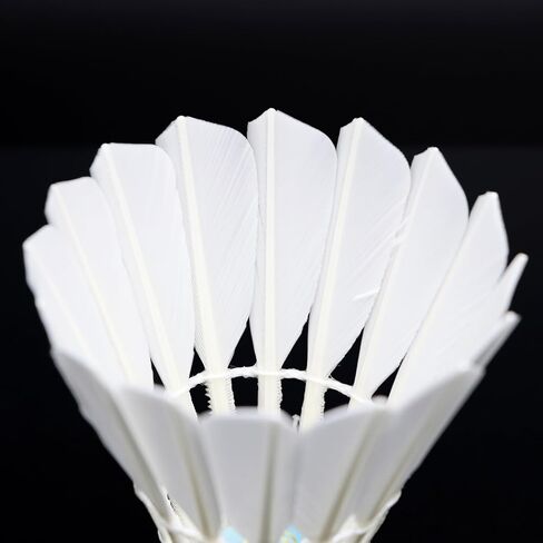 INFINITE Badminton Shuttlecocks, Golden D with Super Durability, Goose Feather, Suitable for Intermediate Level Players and Club Session, 12PCS per Tube… in Saudi Arabia