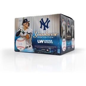 Under Wraps 2024 Edition New York Yankees Greats Autographed Single Baseball Box